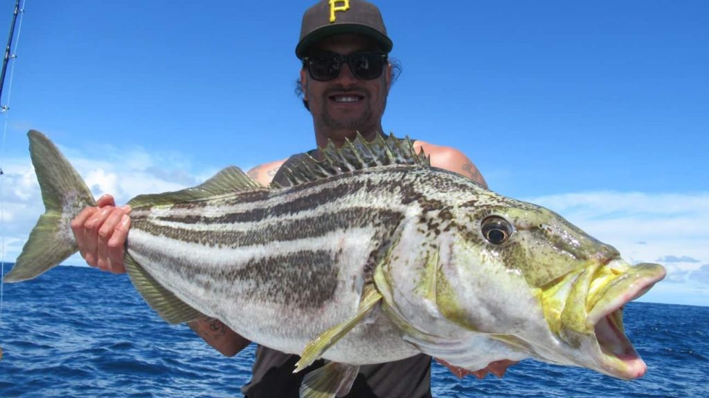 Johnny senior deckhand for cova rose